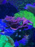 IMG_0191.jpg