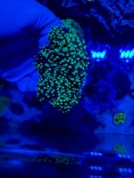 IMG_9436.jpeg