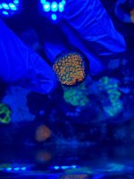 IMG_9428.jpeg