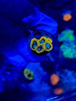 IMG_9427.jpeg