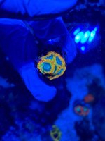 IMG_9423.jpeg