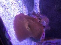 IMG_3704.jpeg