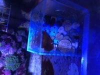IMG_3703.jpeg