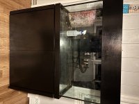 IMG_1317.jpeg