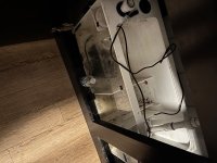 IMG_1318.jpeg