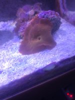 IMG_3708.jpeg