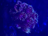 IMG_7580.jpeg