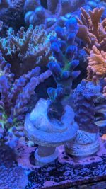 PXL_20250802_164806796.RAW-01.COVER.jpg PXL_20250802_164806796.RAW-01.COVER.jpg