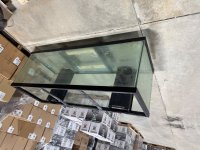 IMG_3462.jpeg