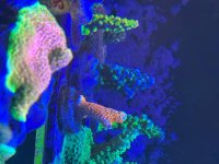 IMG_1439.jpeg