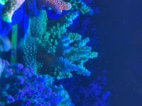 IMG_1436.jpeg