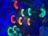IMG_1412.jpeg