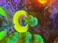 IMG_1402.jpeg