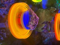 IMG_1403.jpeg