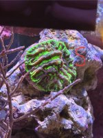 IMG_6602.jpeg
