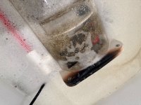 IMG_0489.jpeg