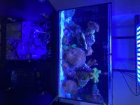 IMG_3497.jpeg