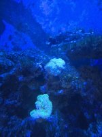 20250507_095029.jpg