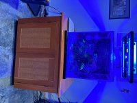 IMG_7121.jpeg