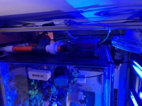 IMG_7124.jpeg