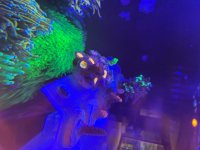 IMG_8010.jpeg