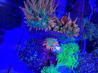 IMG_2349.jpeg