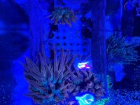 IMG_2348.jpeg
