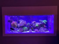 IMG_2680.jpeg
