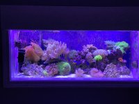 IMG_2758.jpeg