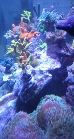 20250821_175123.jpg