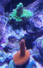 20250821_175049.jpg