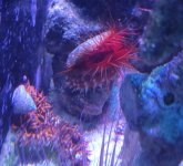 20250821_185047.jpg