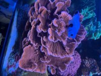 IMG_7284.jpeg