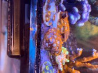 IMG_7290.jpeg