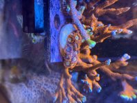 IMG_7289.jpeg