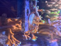 IMG_7288.jpeg