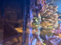 IMG_7286.jpeg