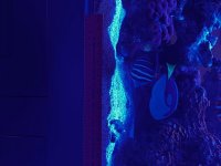 IMG_3937.jpeg