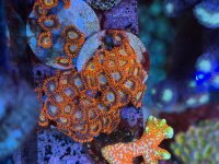 IMG_7318.jpeg