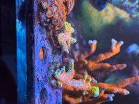 IMG_7315.jpeg