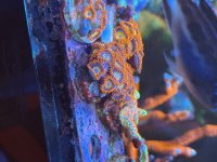 IMG_7316.jpeg