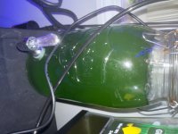 IMG_1157.jpeg