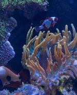 IMG_1416.jpeg