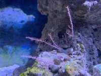 IMG_4559.jpeg