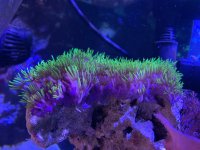 IMG_4580.jpeg