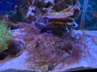 IMG_4579.jpeg