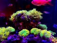 IMG_1271.jpeg