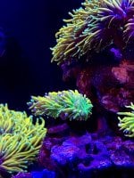 IMG_1266.jpeg