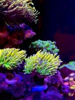 IMG_1263.jpeg