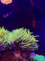 IMG_1269.jpeg